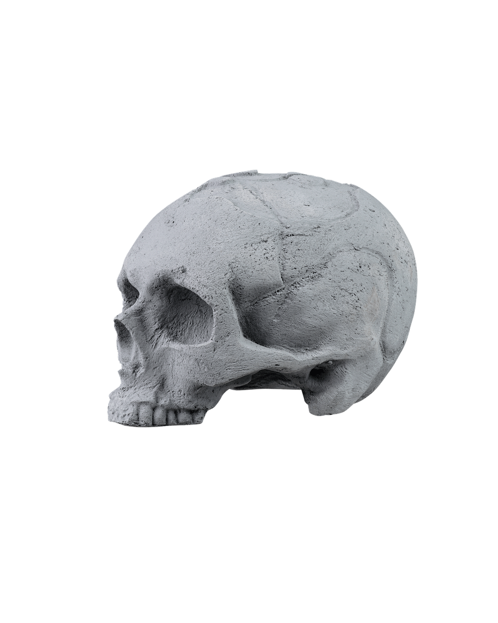 SCULL grey