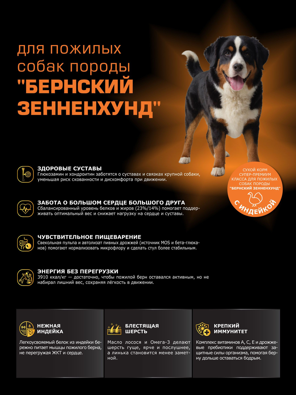 Quattro корм для пожилых собак породы Бернский зенненхунд (5+), с индейкой, 3 кг, QUATTRO
