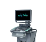 Аппарат УЗИ (сканер) Siemens Healthineers Acuson X600