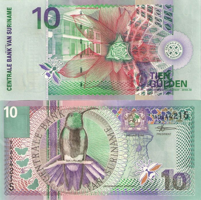 10 гульденов 2000 Суринам, Красношейный дятел