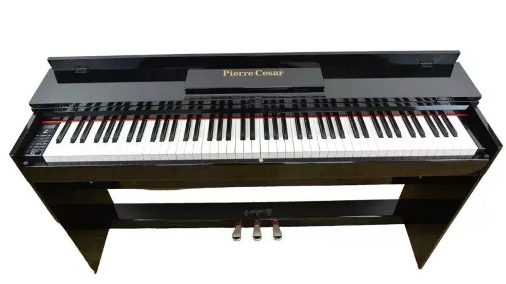 Pierre Cesar XY-8813-H
