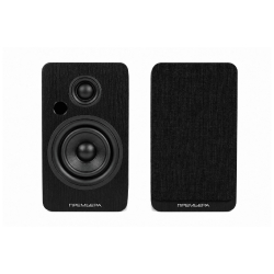 Premiera RS-301A Black — активная полочная акустическая система
