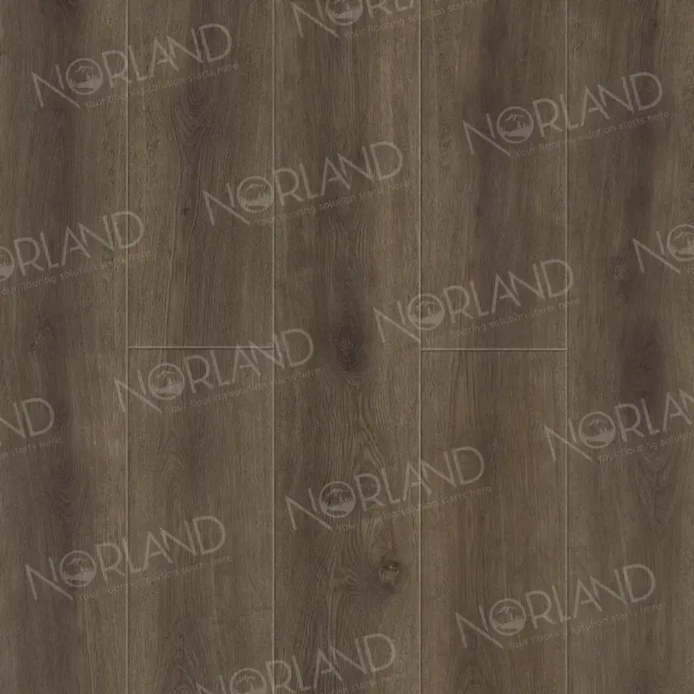 SPS ламинат Norland Neowood Utla 2001-10