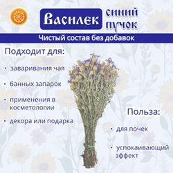 Василек пучок