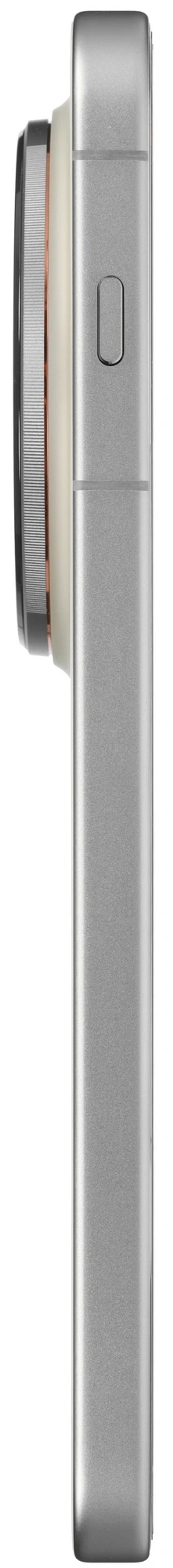 Смартфон Vivo X300 Pro 16/512 Гб 5G (Песчаный бархат)