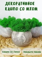 Декоративное кашпо серый мрамор из гипса со мхом