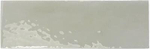 Wow Rebels Sage Gloss 5x15