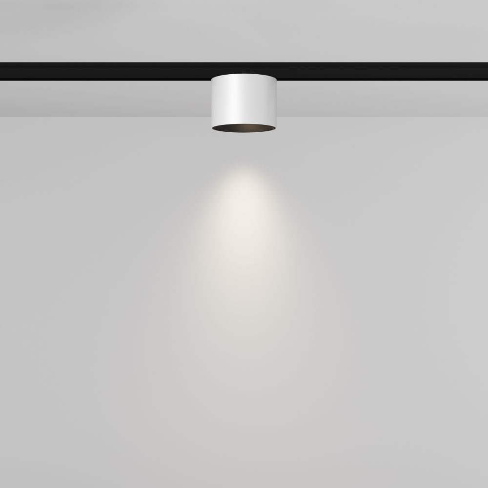 Магнитный трековый светильник Maytoni Alfa S TR188-1-5W4K-M-BW