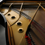 Kawai GL-20