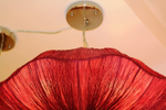 Coral by Aqua Creations ( red ) 1