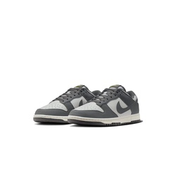 Nike Dunk Low Next Nature "Iron Grey"