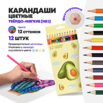 Цветные карандаши деревянные для рисования, 12 шт, MC-Basir, набор детских разноцветных карандашей "Авокадо"
