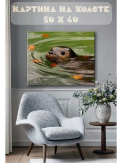 Картина на стену 40 X 50 Тюлень