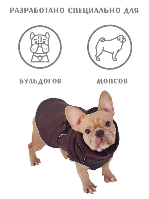 Попона для французского бульдога мопса