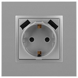 Розетка ЭРА Elegance 14-4109-03 2P+E 16A-250В штор. с 2xUSB 5В-3А алюминий | Эра Elegance