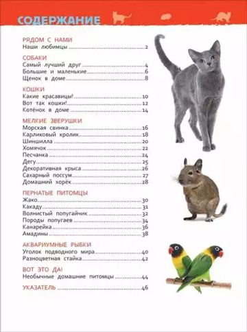 Домашние питомцы (Энциклопедия для детского сада)