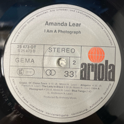 Винтажная виниловая пластинка LP Amanda Lear, I Am A Photograph (Германия 1977) (С Плакатом)