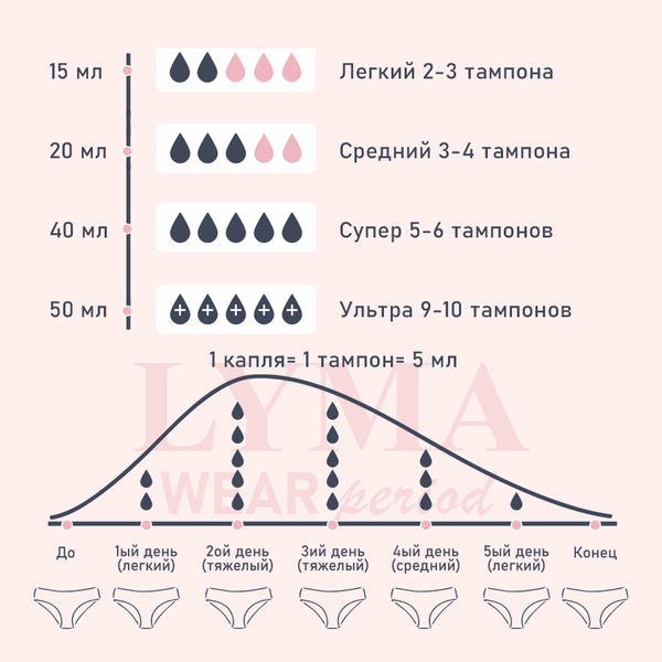 Как выбрать менструальные трусики под свой цикл: простой гайд Как выбрать менструальные трусики под свой цикл: простой гайд