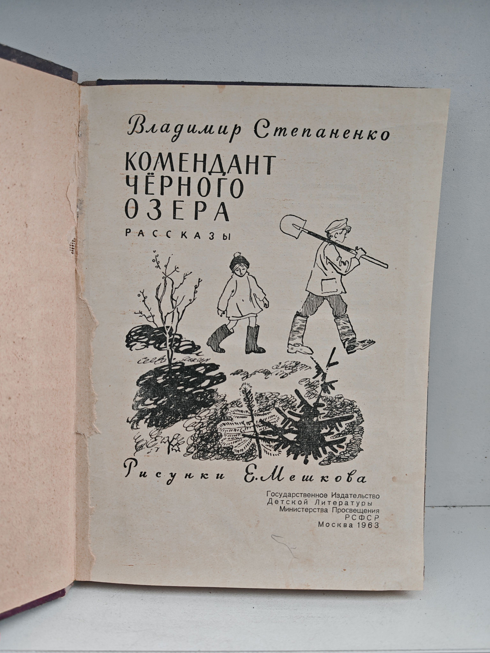 Комендант черного озера