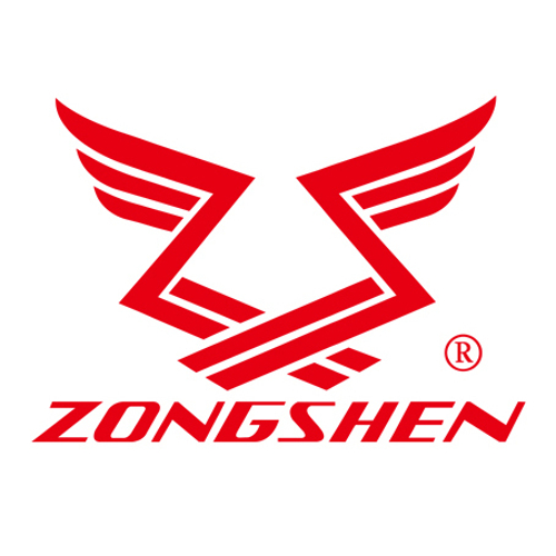 Двигатель бензиновый Zongshen ZS 190 FA2