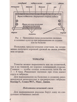 Ранние овощи