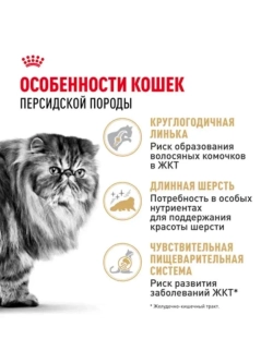 Persian Adult Корм для кошек персидской породы 400г