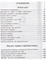 Живой дзэн. Якусан - прямо к просветлению.
