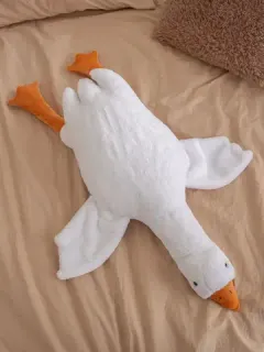 ЯМ ООО "Эко.ру"