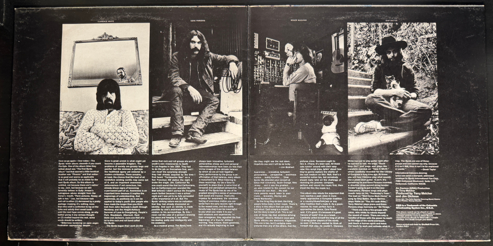 Виниловая пластинка The Byrds - Untitled 2LP