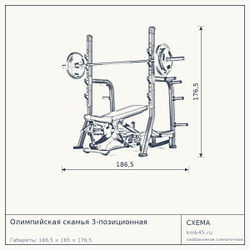 Олимпийская скамья 3-позиционная — от 504 000 ₽