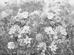 GIARDINO 6