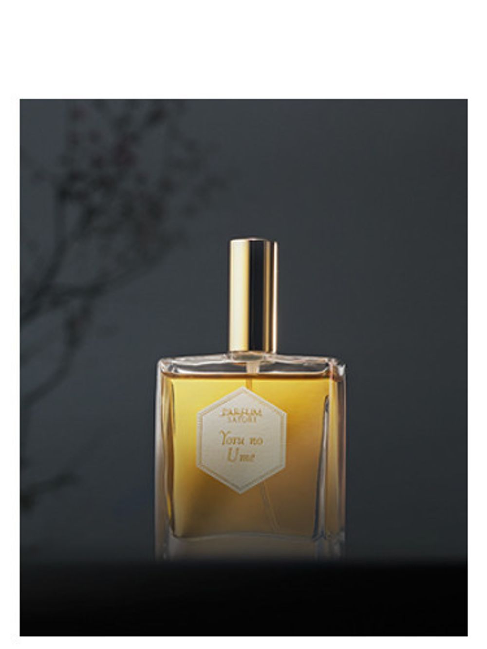 Parfum Satori Yoru no Ume