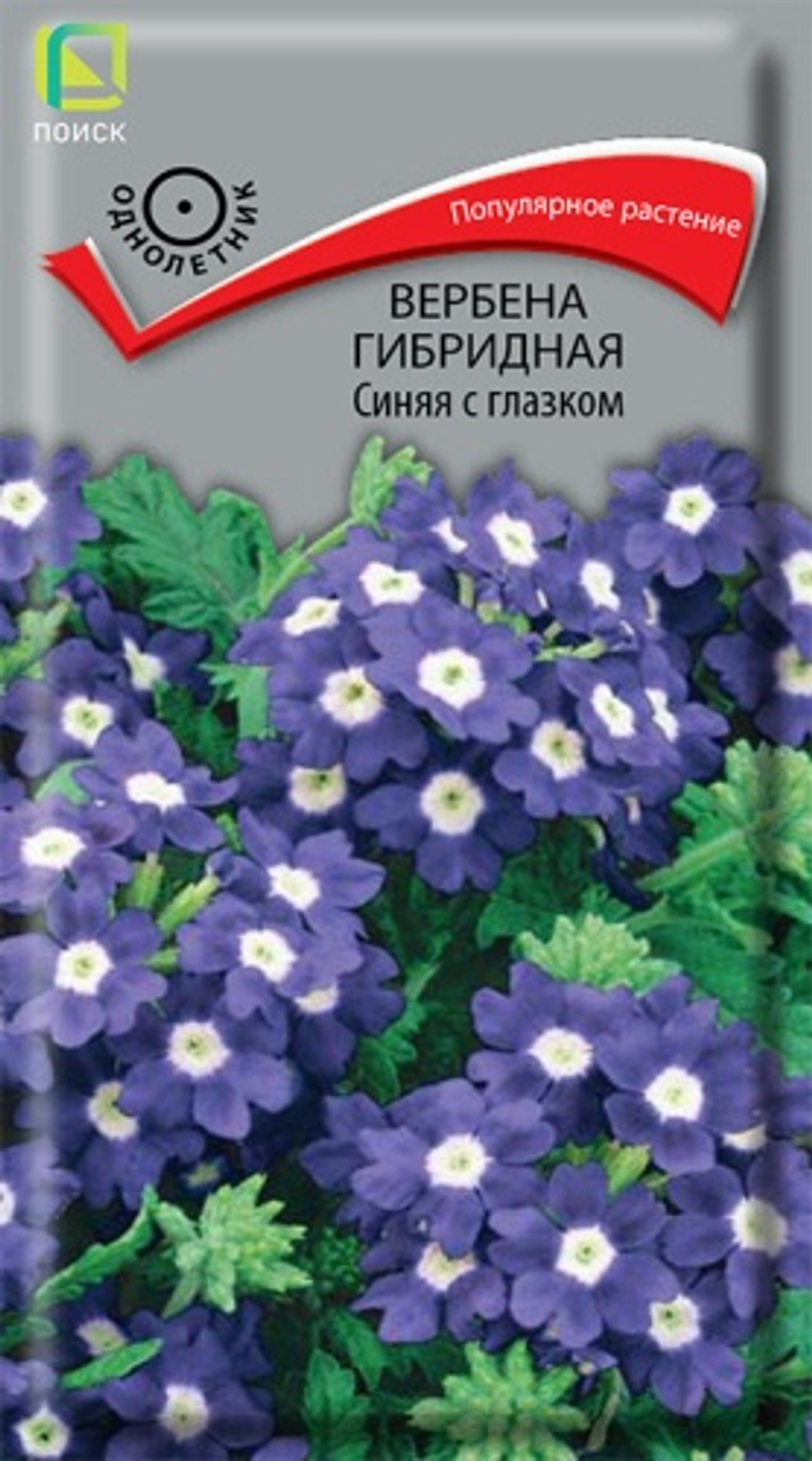 Вербена гибридная Синяя с глазком 0,1гр. (Поиск)
