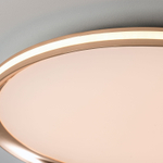 Потолочный светодиодный cветильник LED4U L3020-500 GD