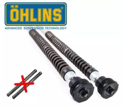 Картридж Ohlins FKS226