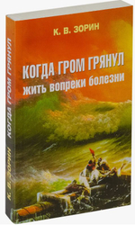 Когда гром грянул. Жить вопреки болезни Зорин Константин Вячеславович