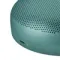 Bang &amp; Olufsen Beosound A1 3rd Gen Eucalyptus Green