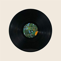 Lana Del Rey — Violet Bent Backwards Over The Grass (LP)