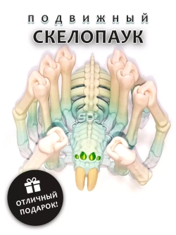 Скелет Паук