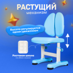 Комплект Anatomica Amadeo парта + стул + надстройка + выдвижной