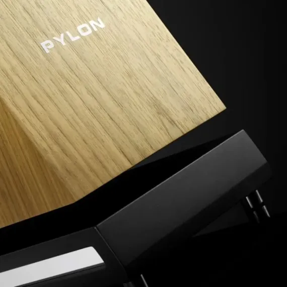 Pylon Audio Jasper 25 MK II active + stereo hub American Walnut