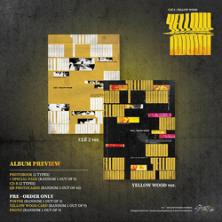 Альбом Stray Kids Clé 2: Yellow Wood (normal edition)