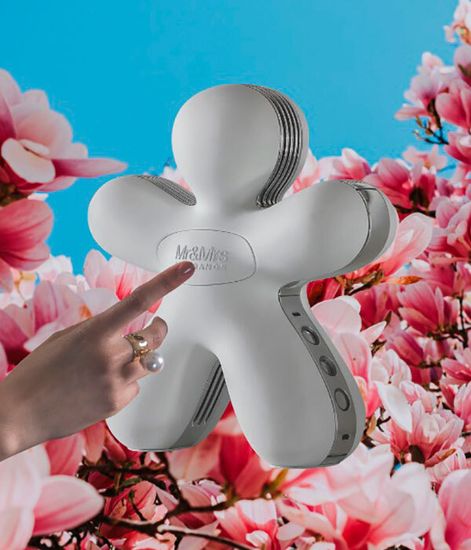 Аромадиффузор GEORGE 2 BLUETOOTH серебро, Mr&Mrs Fragrance