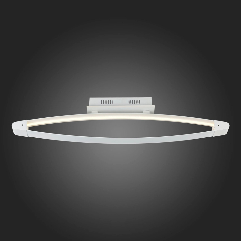 Светильник потолочный ST Luce SL920.102.01