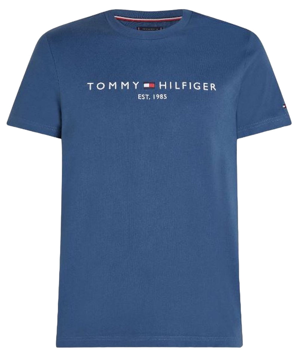 Мужская теннисная футболка Tommy Hilfiger Logo - небесный