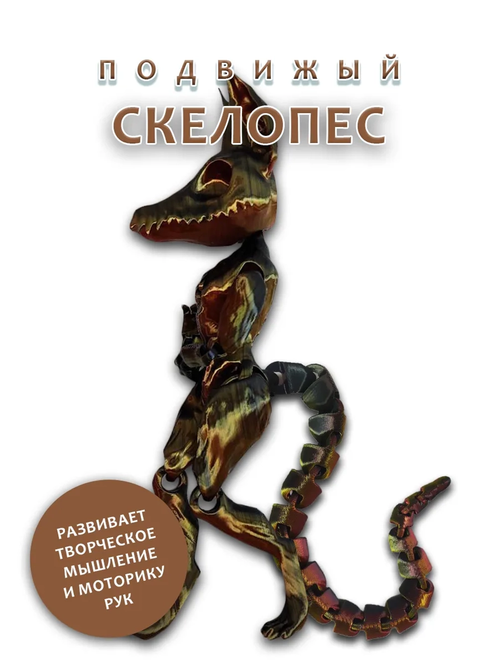 Скелет Собаки
