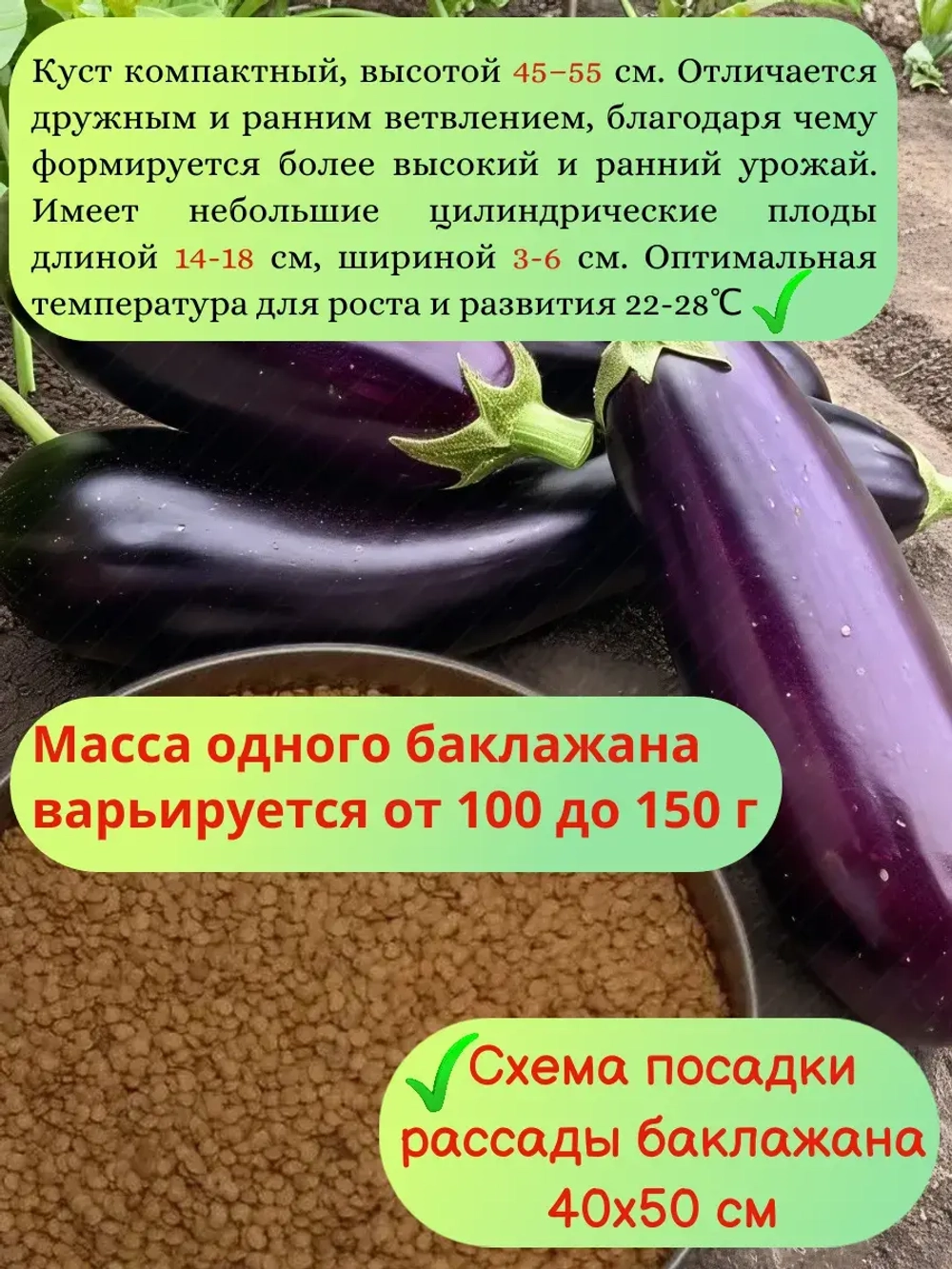 Семена Баклажан