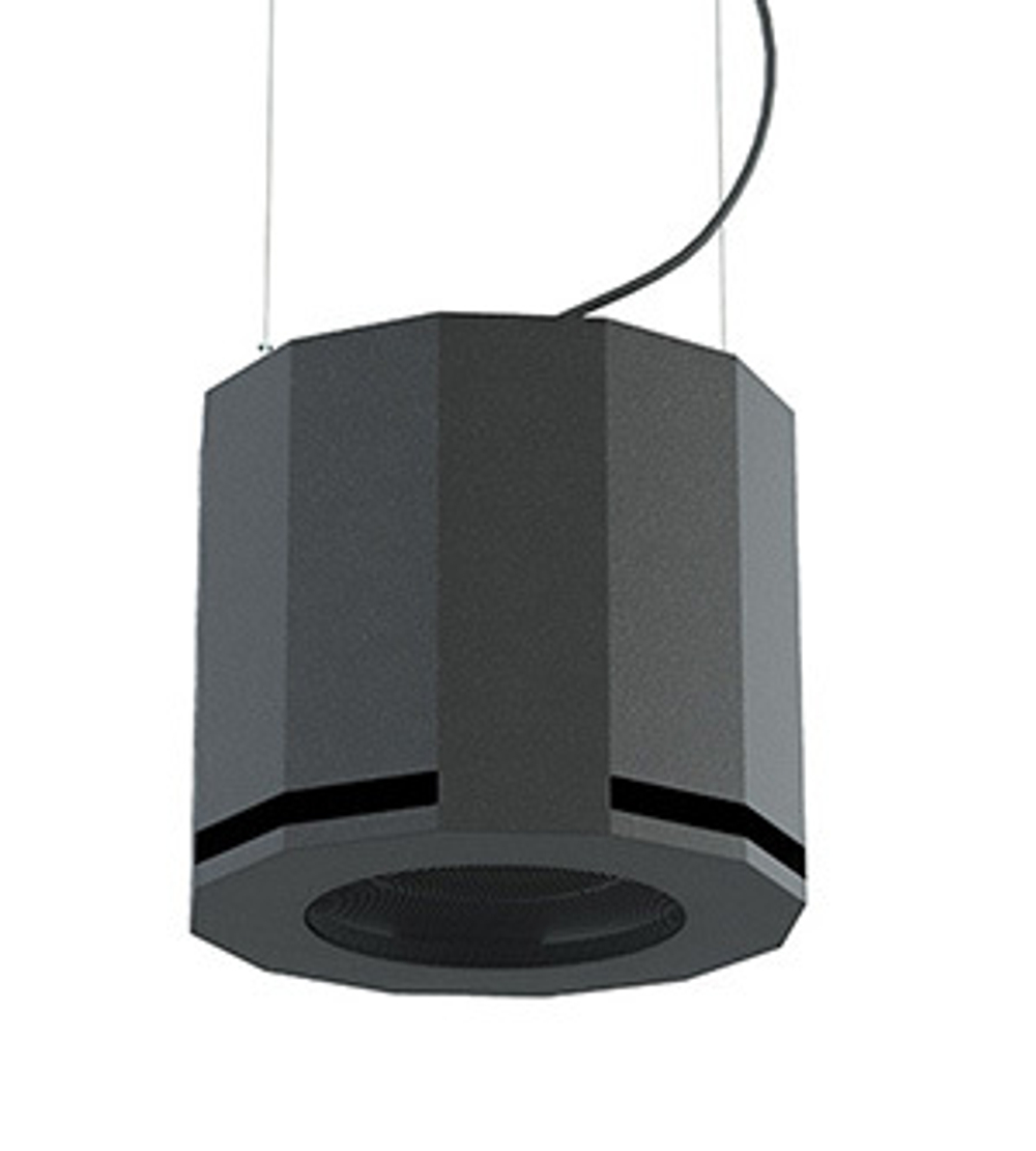 CVGaudio SUBone Model D-6