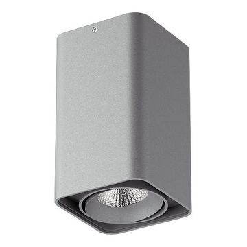 Накладной светодиодный светильник 052339 серый 3000K 10W Monocco Lightstar