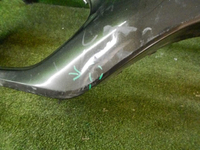 DSCN4187.jpg